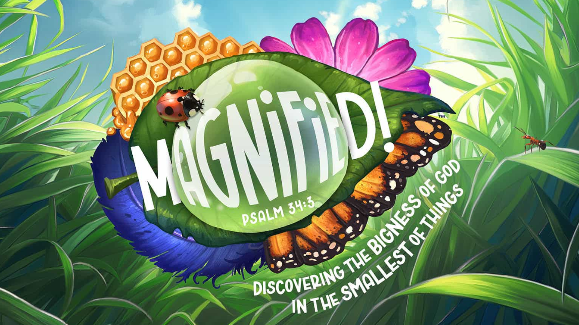 magnified The Marriage Silo